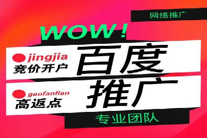 信息流广告代理成功案例分析